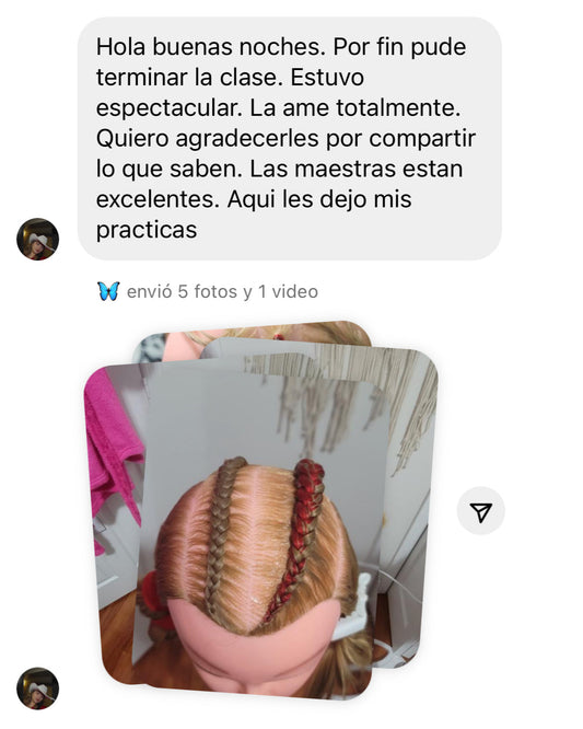 Taller Básico de Trenzas en Línea
